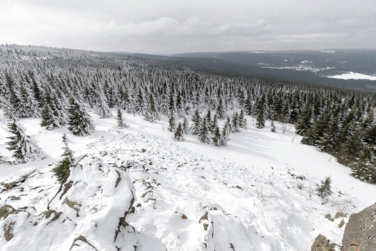 Winter im Harz, Wolfswarte im Schnee