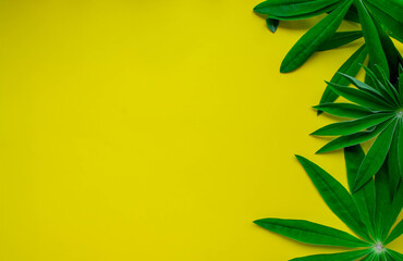 Fototapeta na wymiar Lupine leaves, lying on the right on the yellow . Macro photography of lupine leaves