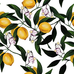 Seamless hand drawn citrus raster pattern on white background.