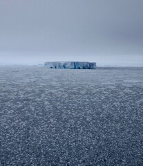 Large iceberg at edge of pack ice in antarctic ocean, Antarctica © HWL Photos