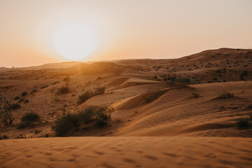 Fototapeta na wymiar Deserts and Sand Dunes Landscape at Sunrise