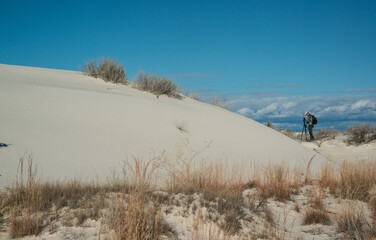 Drought-resistant desert plants and Yucca plants growing in White Sands National Monument, New Mexico, USA