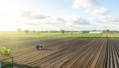 A tractor rides on a farm field. Farmer on a tractor with milling machine loosens, grinds and mixes...