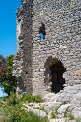 ruins of the castle