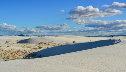 Fototapeta na wymiar Desert landscape of gypsum dunes in White Sands National Monument in New Mexico, USA