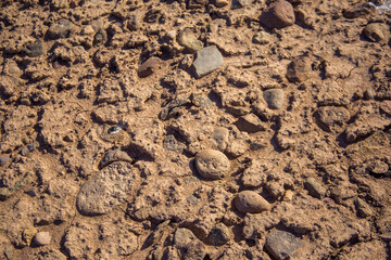 Fototapeta na wymiar Climate change, the ground is dry, drought, cracked ground