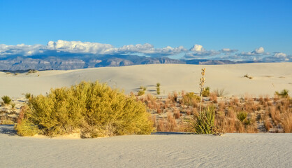 Desert landscape of gypsum dunes in White Sands National Monument in New Mexico, USA