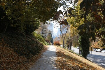 Obraz premium Salt Lake City, Utah