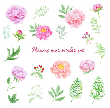 Watercolor  pink peony flowers set with leaves, fern, tropical leaves greenery. 
Botanical illustration isolated on white background.