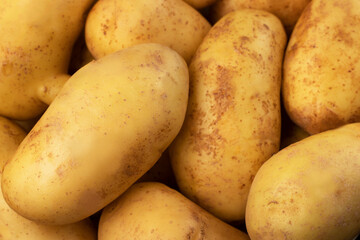 young washed potatoes close up