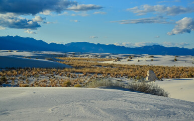 Desert landscape of gypsum dunes in White Sands National Monument in New Mexico, USA