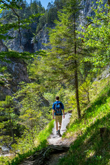 Obraz premium Young Man Walks On Hiking Trail In Ötschergräben In Austria