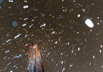 Monument to Patriarch Hermogenes in the Alexander garden in Moscow during a snowfall.