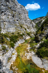Clear And Wild Mountain River In Green Canyon In Ötschergräben In Austria