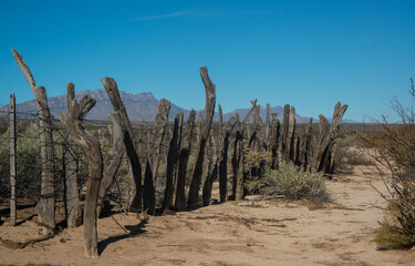 Old remains of the first settlers ranch near a dried Lucero Lake