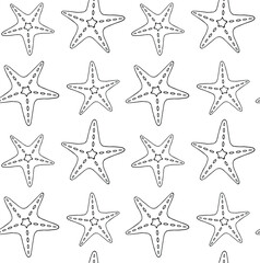 Fototapeta na wymiar Vector seamless pattern of hand drawn doodle sketch sea star starfish isolated on white background