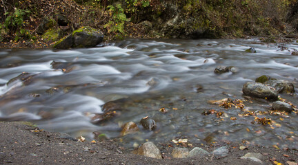 stream in the forest