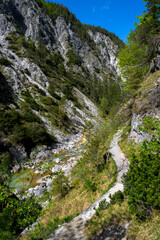 Obraz premium Hiking Trail Beneath Wild Mountain River In Ötschergräben in Austria