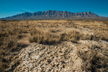 Desert landscape in New Mexico, gypsum crystals at the bottom of a dried lake, Lucero Lake