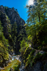 Hiking Trail Beneath Wild Mountain River In Ötschergräben in Austria