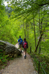 Fototapeta na wymiar People Walk On Forest Hiking Trail In Ötschergräben In Austria