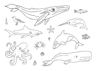 Vector set bundle of hand drawn doodle sketch sea animals and fish isolated on white background