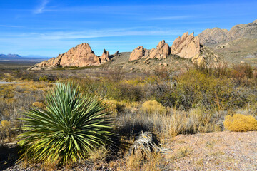 Desert landscape with mountains in the background. Yucca plant in the foreground, Red Cliffs...