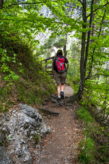 Young Woman Walks On Forest Hiking Trail In Ötschergräben In Austria