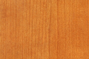 Campione di legno per arredamento o per sfondi