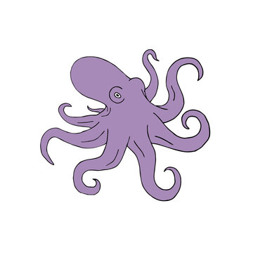 Vector hand drawn doodle sketch violet colored octopus isolated on white background