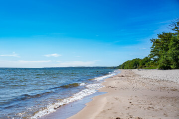 Stenshuvud National Park Lush forests with High Biodiversity and Long Sandy Beach in Osterlen Skane, South Sweden. 