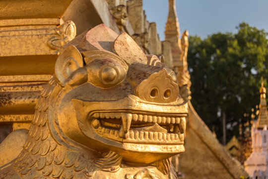 Statue of guardian lion chinthe in Shwezigon paya, Bagan, Myanmar. Chinthe are often installed at entrances to Buddhist temples in Asia. Closeup on head