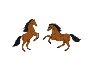 Vector two hand drawn doodle sketch bay brown horses set isolated on white background