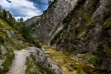 Hiking Trail Beneath Wild Mountain River In Ötschergräben in Austria