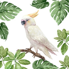 white cockatoo bird on a branch in a frame with green tropical leaves, watercolor illustration © Lana