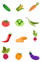 Vegetables icons set. Set of vegetables. 