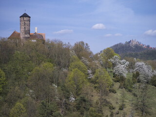 Burg Ludwigstein und Burg Hanstein zur Kirschblüte