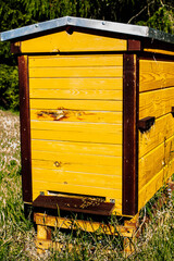 Bee house, close up wooden beehive and bees