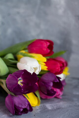 beautiful spring tulips as a symbol of love