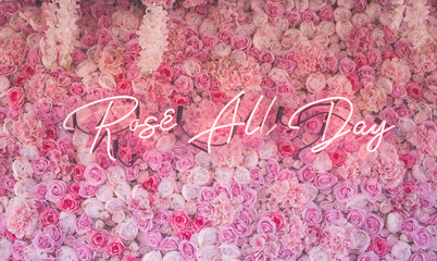 Rose All Day and Everyday