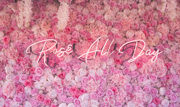 Rose All Day And Everyday