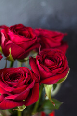 beautiful red roses as a symbol of love