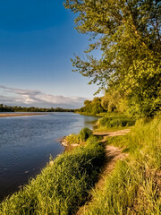 Footpath along Vistula river, vicinity of Warsaw, Poland