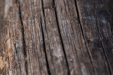 Old wooden background. Natural wooden surface. Selective focus. Shifted and sloping horizon