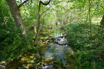 Fototapeta na wymiar River in bad urach near a waterfall, in germany, green landscape in spring