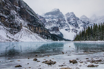 Cold Morning in the Mountain Forest