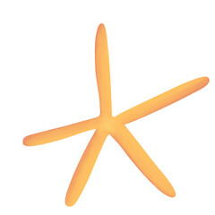 cute cartoon style orange pointed starfish with long edges isolated on white background, water , ocean, beach, underwater ,for prints, decor, design, coloring, decoration
