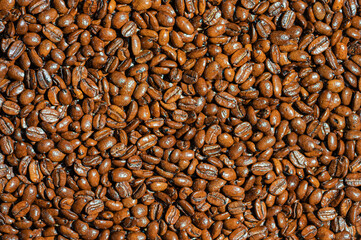 roasted coffee beans background