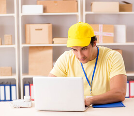 Handsome contractor working in box delivery relocation service