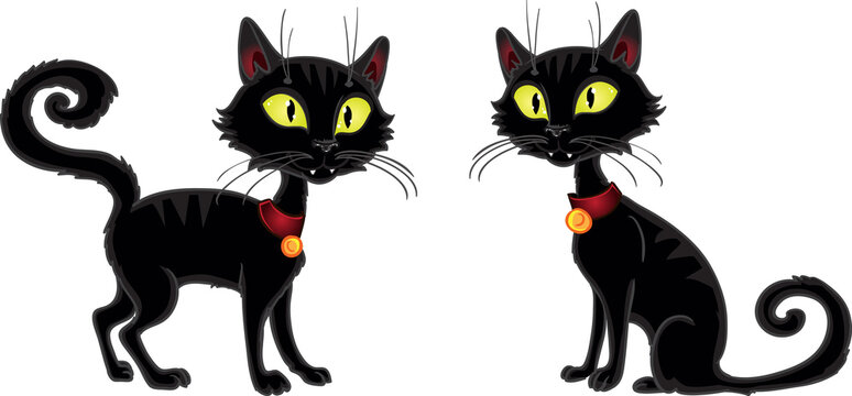 Halloween terrible Black Cat